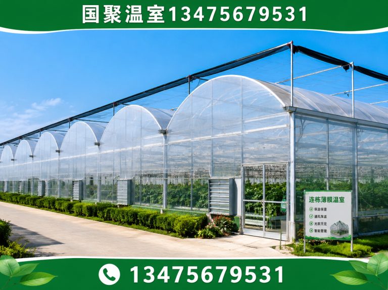 高密市连栋薄膜温室展示图