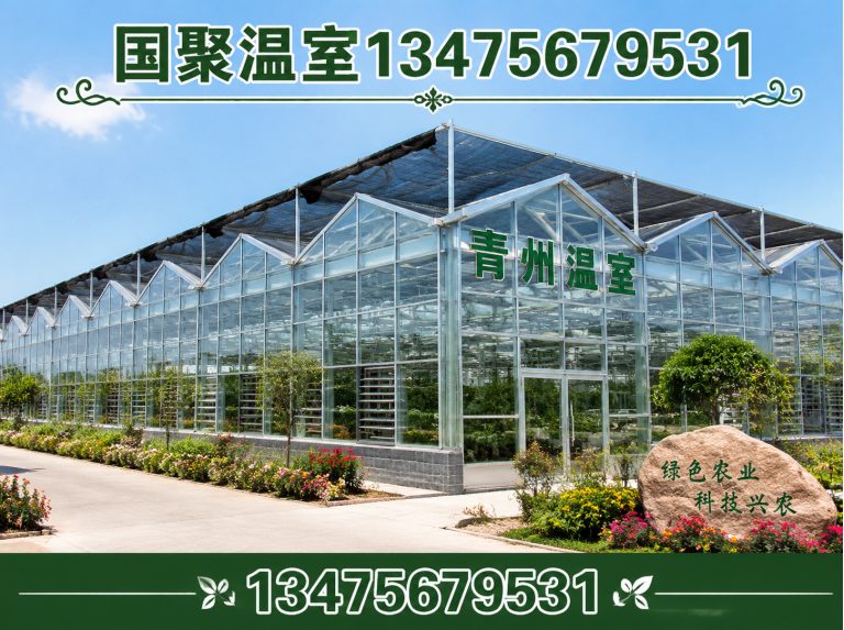 高密市温室设计施工展示图